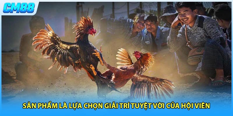 Sản phẩm là lựa chọn giải trí tuyệt vời của hội viên