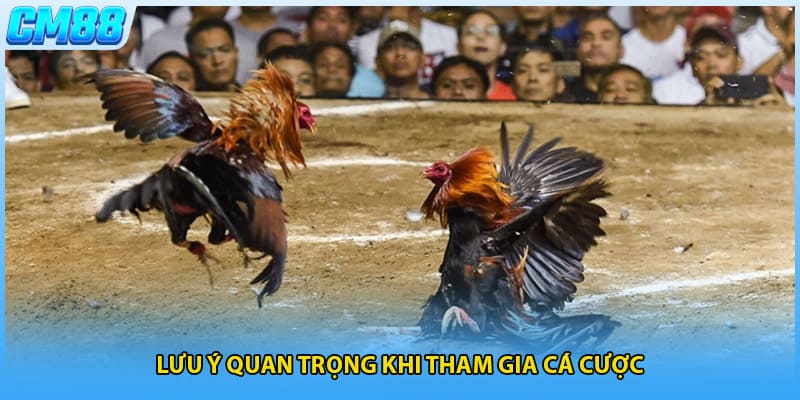 Lưu ý quan trọng khi tham gia cá cược